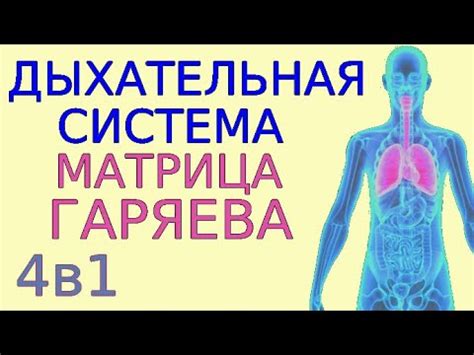 Последствия холода для дыхательной системы