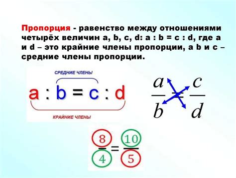 Посмотрите на пропорции