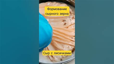 Пособие по удалению сырного соуса с белой одежды