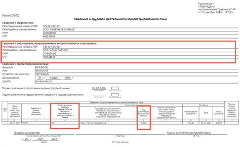 Постановка ОКЗ в отчете СЗВ-ТД