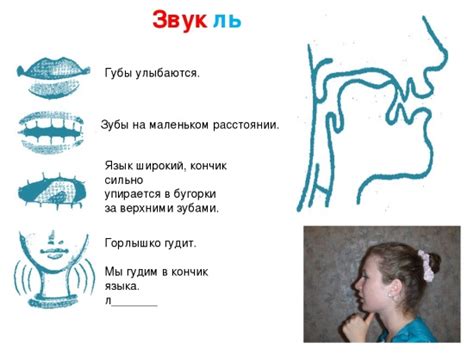 Постановка языка для произнесения "л" звука