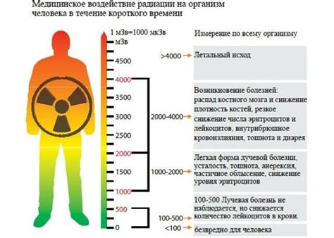 Постапокалиптическая гастрономия: как выживать на радиации