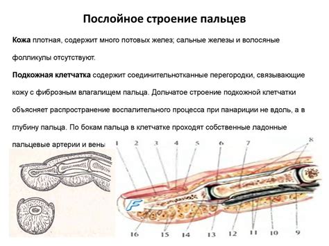 Постепенное повышение сложности рисунков с помощью указательного пальца