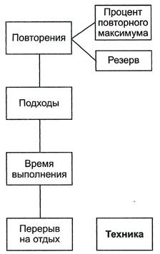 Постепенное увеличение нагрузки: секреты прогрессирования