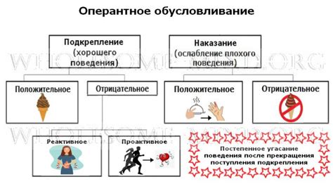 Постоянное позитивное подкрепление и поощрение