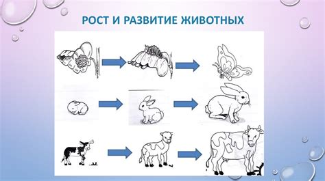 Постоянное развитие и рост отношений