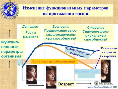 Постоянное самообучение: рост и развитие на протяжении жизни