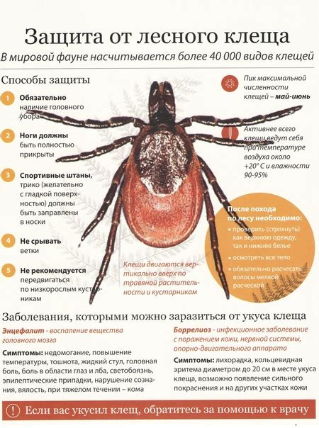 Постоянный контроль и профилактика клеща энцефалита