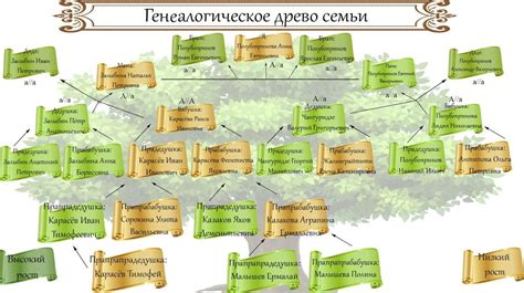 Построение генеалогического древа: следуйте следам