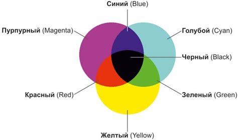 Построение контуров и заполнение базовых цветов