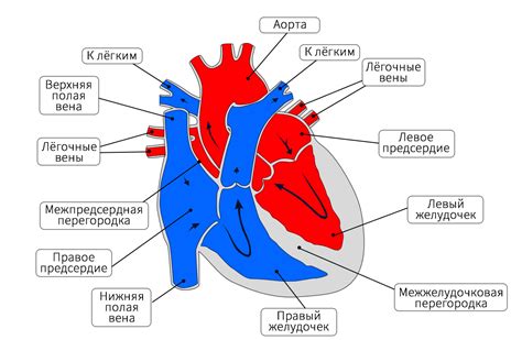 Поступки из сердца