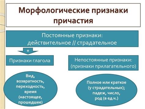 Пост после причастия и его значение в выполнении заданий