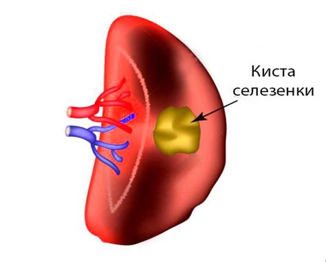 Потенциальные опасности при употреблении креветок