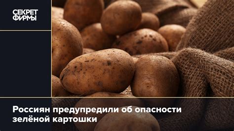 Потенциальные опасности сырой картошки