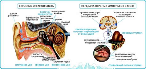 Потенциальные причины шума