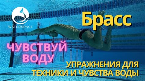 Потенциальные проблемы для пловцов: воздействие холодной воды