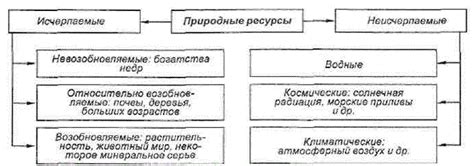 Потенциальные риски и последствия постоянного употребления медианы