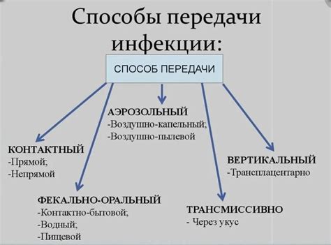 Потенциальные риски передачи инфекций