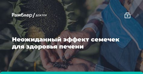 Потенциальный негативный эффект грызения семечек