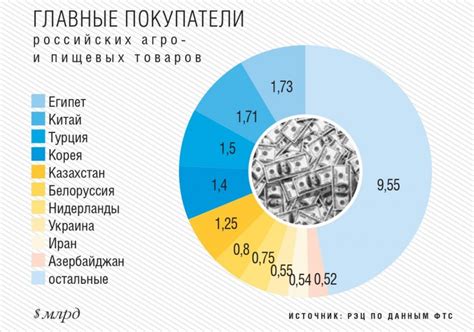 Потенциал развития рынка и возможности экспорта