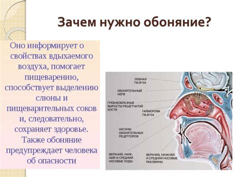 Потеря естественного обоняния