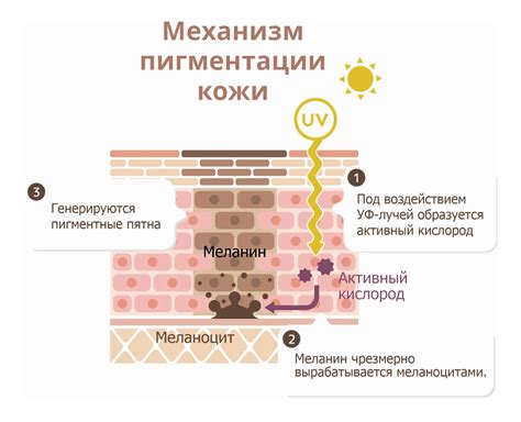 Потеря пигментации кожи