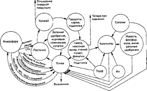 Потеря ценных питательных элементов