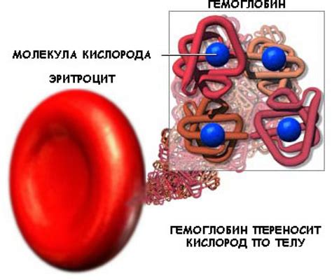 Потребность в дополнительном восстановлении гемоглобина