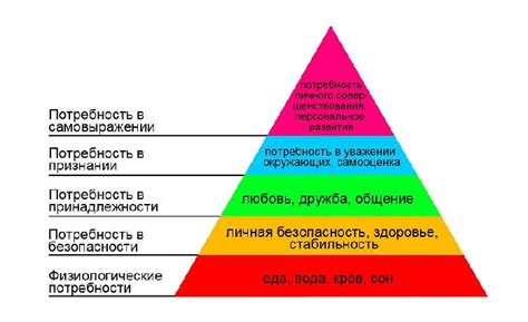 Потребность в стабильности и комфорте