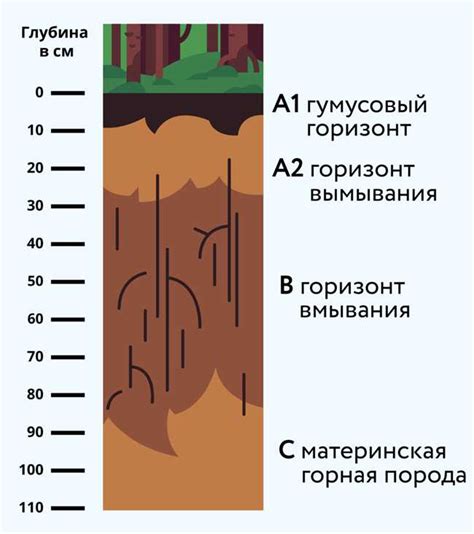 Почвенные особенности