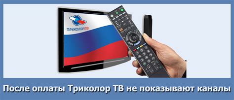 Почему Триколор не подключается после оплаты?