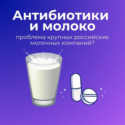 Почему антибиотики в молоке вредны?