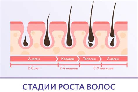 Почему брить волосы на лобке может быть опасно