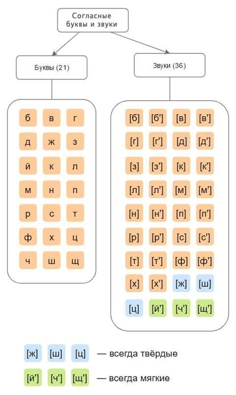 Почему важен парный или непарный фонетический разбор