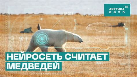 Почему важно знать количество звеньев