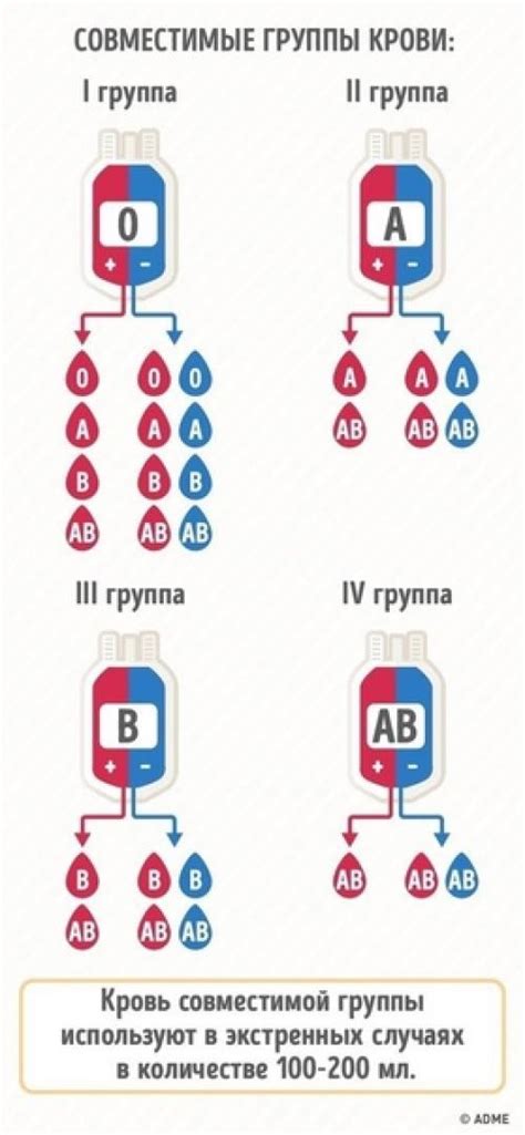 Почему важно знать свою группу крови?