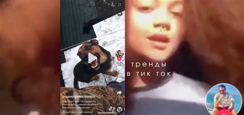 Почему важно обновлять Тик Ток?