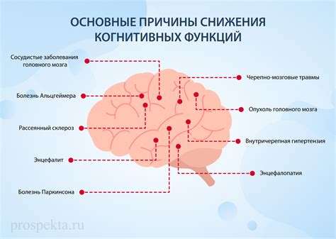 Почему важно определить свои когнитивные функции