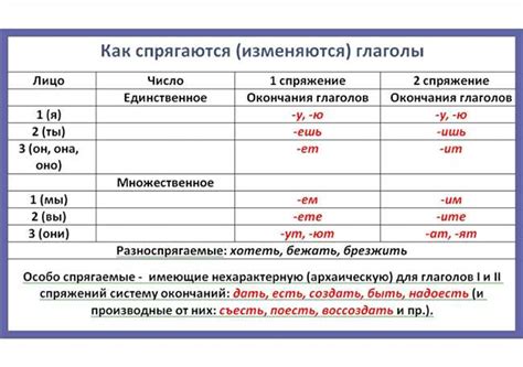 Почему важно правильно спрягать глаголы?