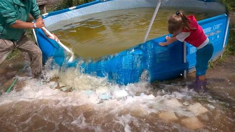 Почему важно удалять воду из бассейна