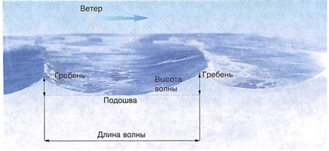 Почему ветер образует волны на поверхности воды