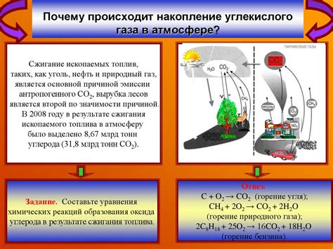 Почему возникает скапливание углекислого газа в погребе