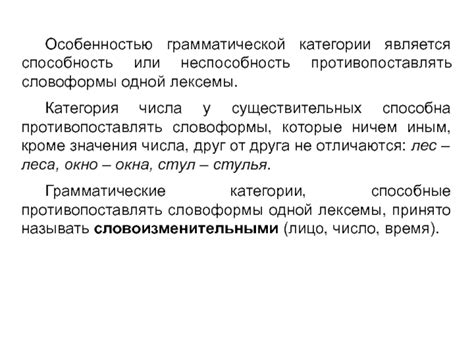 Почему выбор категории собирательности является лексикограмматической особенностью языка?