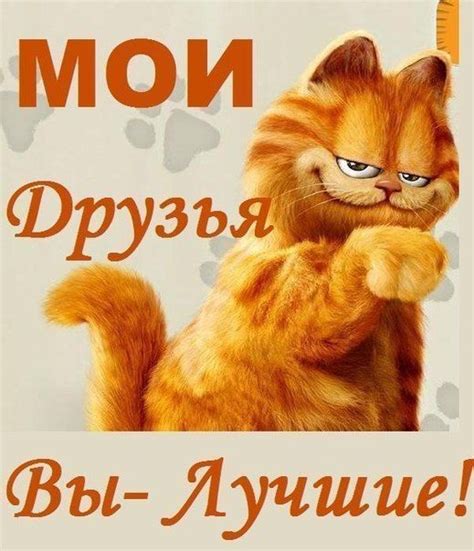 Почему вы мои лучшие друзья?