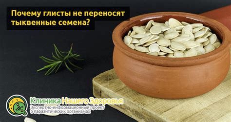 Почему глисты не едят тыквенные семечки