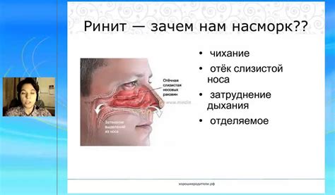 Почему дышать носом важно: