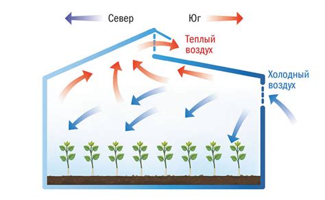 Почему живучесть вариантов отличается?