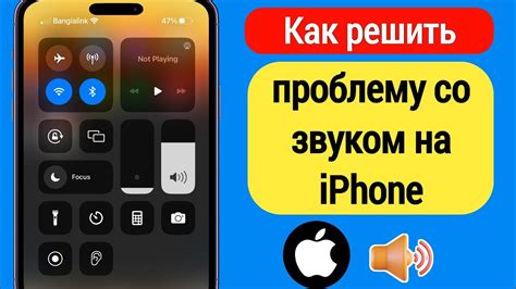 Почему исчез звук в PUBG на iPhone: как решить проблему