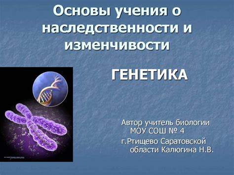 Почему люди напоминают своих родственников: роль наследственности и генетики