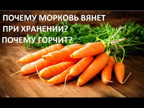 Почему морковь горчит?